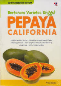 Bertanam Varietas Unggul PEPAYA CALIFORNIA