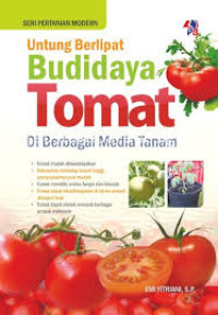 Untung Berlipat Budidaya Tomat Di Berbagai Media Tanam