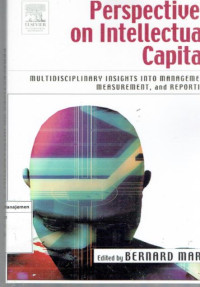 Image of Perspectives on Intellectual Capital