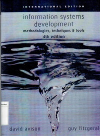 Image of Information Systems Development