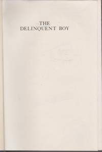 Image of THE DELINQUENT BOY