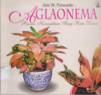 Image of Aglaonema: pesona kecantikan sang ratu daun