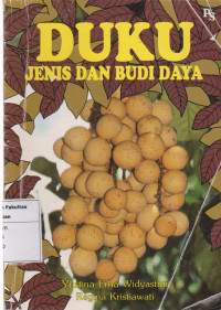 Image of Duku: jenis dan budi daya
