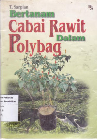 Image of Bertanam Cabai Rawit Dalam Polybag