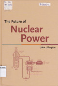 The Future of Nuclear Power