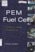 PEM FUEL CELLS Teory and Practice