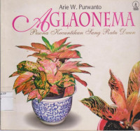 Aglaonema: pesona kecantikan sang ratu daun