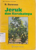 Jeruk dan kerabatnya