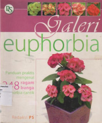 Galeri euphorbia