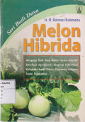 Melon hibrida