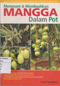 Menanam & membuahkan mangga dalam pot