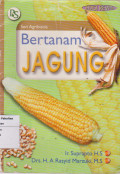 Bertanam jagung