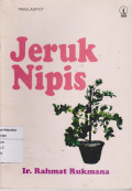 Jeruk nipis