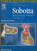 Sobotta: atlas of human anatomy 