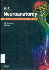 Neuroanatomy