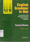 English grammar in use