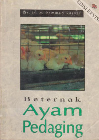 Beternak Ayam Pedaging