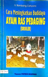 Cara Meningkatkan Budidaya Ayam Ras Pedaging (Broiler)