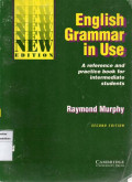 English grammar in use