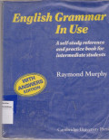 English grammar in use