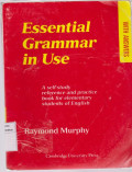 English grammar in use