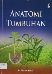 Anatomi Tumbuhan