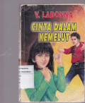 Cinta Dalam Kemelut