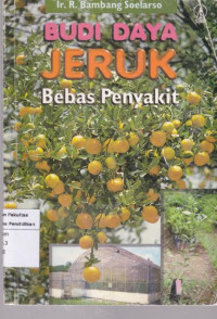 BUDI DAYA Jeruk: Bebas Penyakit