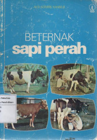 Beternak Sapi Perah