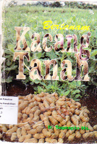 Bertanam Kacang-Kacangan