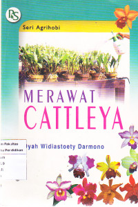 Merawat Cattleya