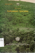 Tanaman Cengkeh 