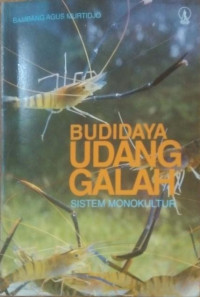 Budidaya udang galah sistem monokultur