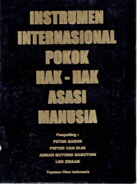 Instrumen Internasional Pokok Hak-Hak Asasi Manusia