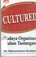 Budaya oarganisasi dalam tantangan 