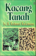 Kacang Tanah