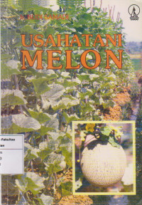 Usaha tani melon