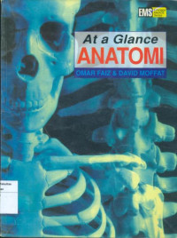 Image of At Glance Anatomi