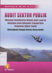 Audit Sektor Publik