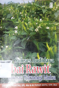 Sukses budidaya cabai rawit dengan teknologi mulsa