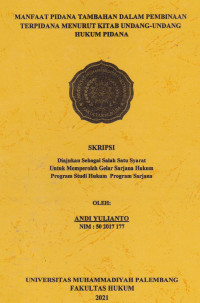HUKUM PIDANA POLITIK