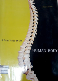 Human Body