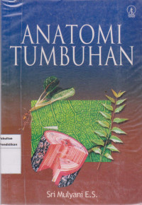 Anatomi tumbuhan