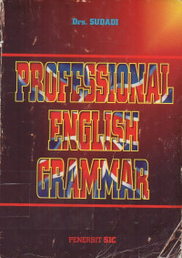 Professional English Grammar