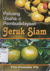 Peluang Usaha & Pembudidayaan Jeruk Siam