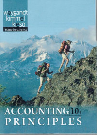 Image of Accounting priciples
