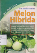 Melon Hibrida