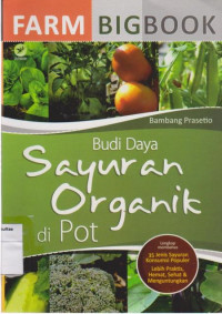 Budi daya Sayuran Organik di Pot