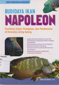 Budidaya ikan napoleon; pemilihan induk, pemijahan, dan pembesaran jaring apung