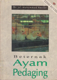 Beternak Ayam Pedaging